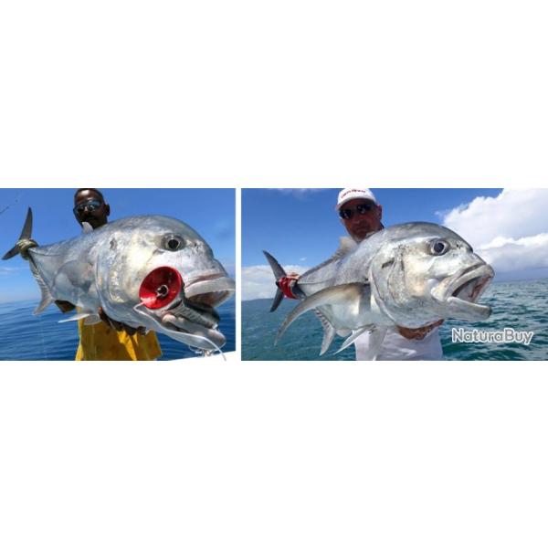 Madagascar : Voyage de P�che Au Gros