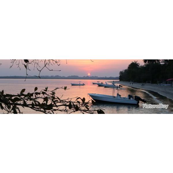 Guine Bissau : Pche au Bijagos