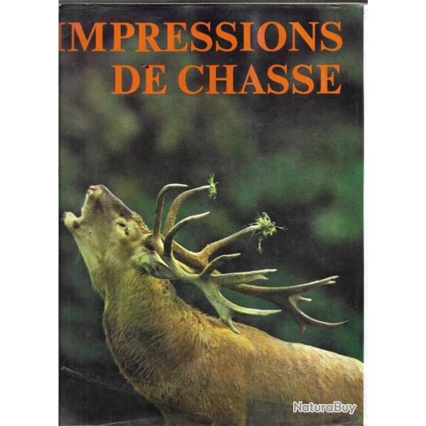 impressions de chasse  , en for�t, plaines ,eau et montagne.chasseurs � l'affut, tir, lunette , grun