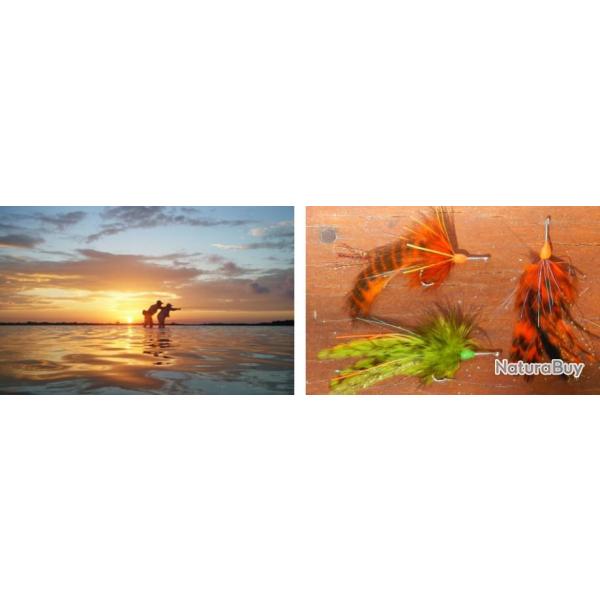 Mexique : P�che � la Mouche � Punta Allen