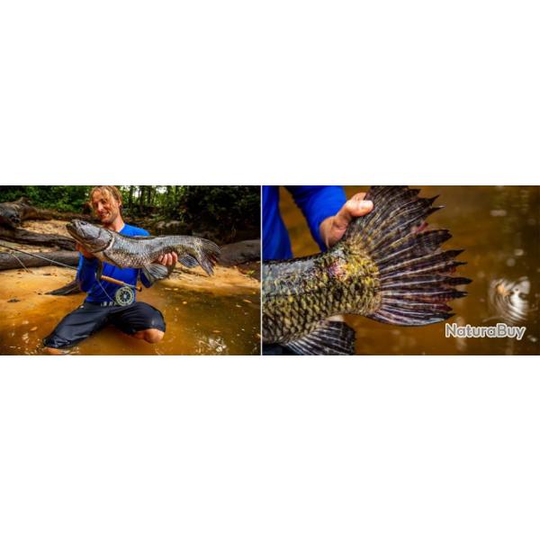 Guyane Fran�aise : P�che de l'A�mara