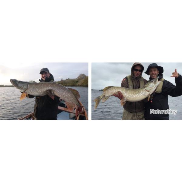 Irlande : P�che au brochet