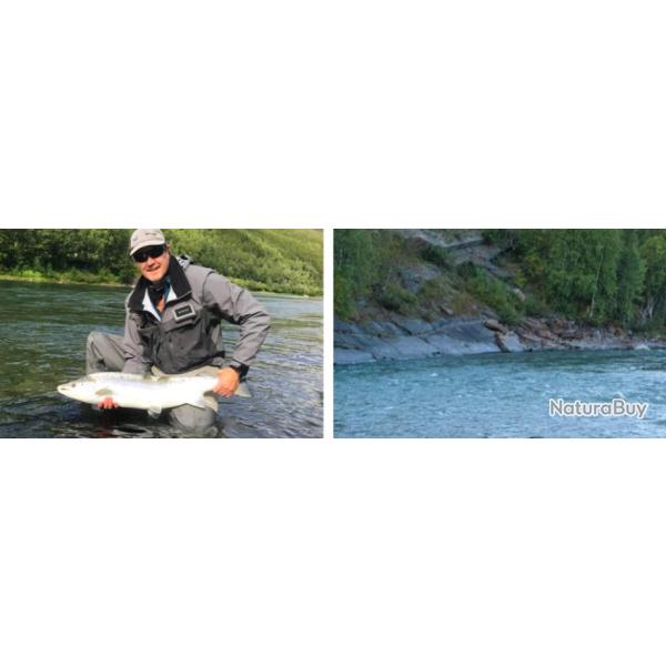 Norv�ge : Saumons Atlantiques au pays des Fjords