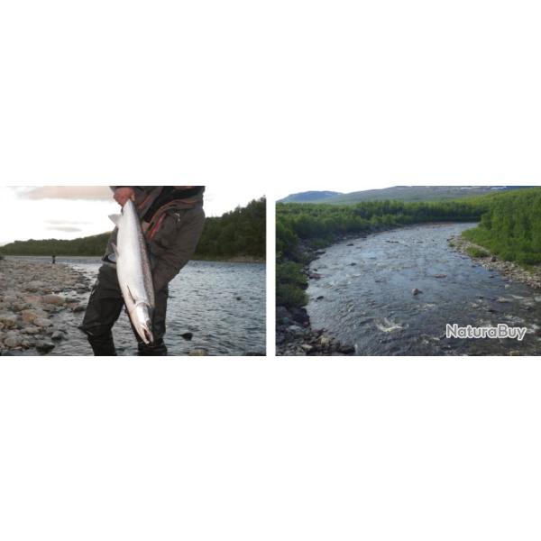 Norvge : Pche sur la Stabburselva