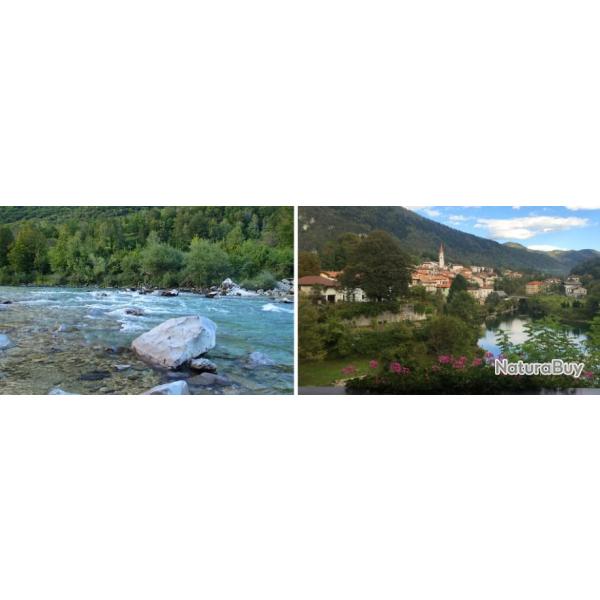 Slovnie : La perle des alpes