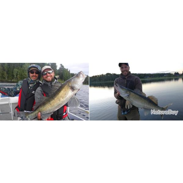 Sude : Le paradis des carnassiers