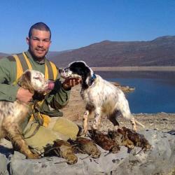 Chasse de la b&eacute;casse en Bosnie / 4 ou 5 jours .