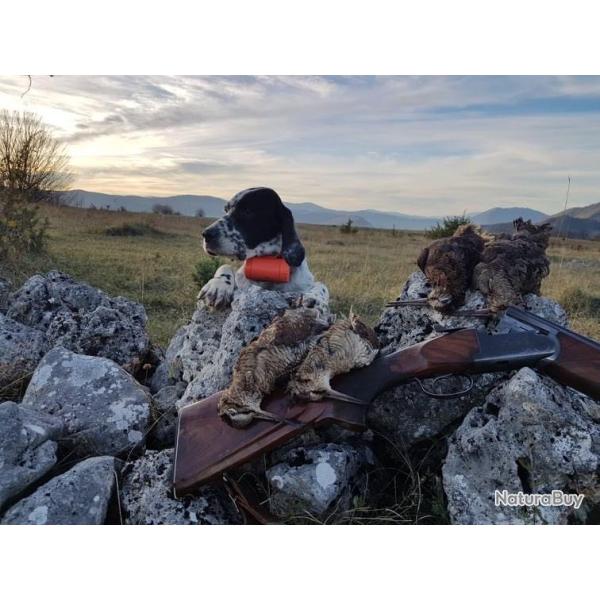 Chasse de la b�casse en Bosnie / 4 ou 5 jours .