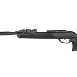 Carabine GAMO Roadster IGT 10X GEN2 4,5 mm Seul