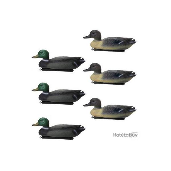 Blette Canard leurre flottant leurre (6 pi�ces) - Livraison gratuite !!