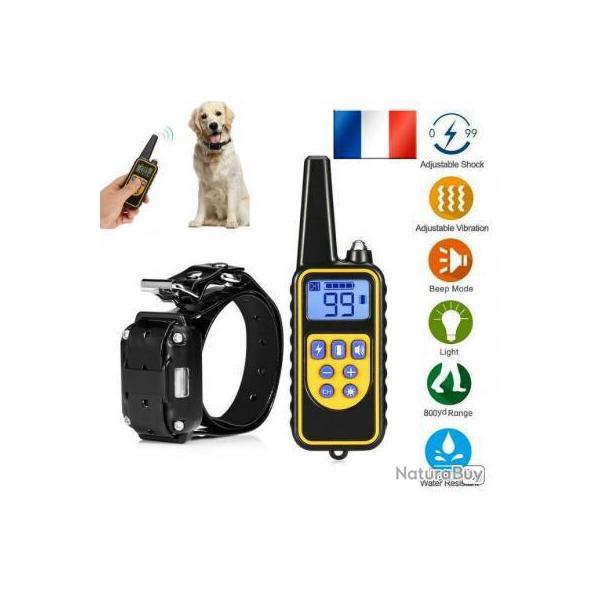 Starter Collier de Dressage port de 800M - LIVRAISON GRATUITE !!!