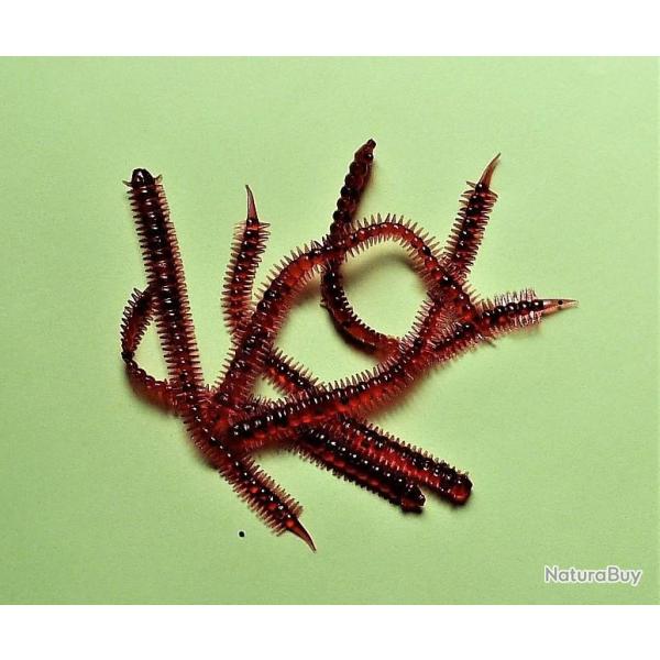 NEREIS - vers marins - 10 cm - 1 gr - color rouge - par 6