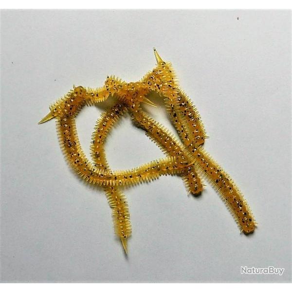 NEREIS - vers marins - 10 cm - 1 gr - color jaune dor� - par 6