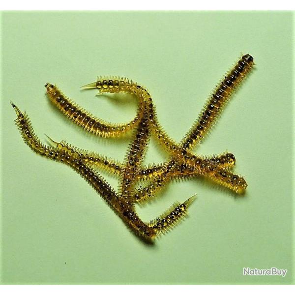 NEREIS - vers marins - 10 cm - 1 gr - color jaune fonc - par 6