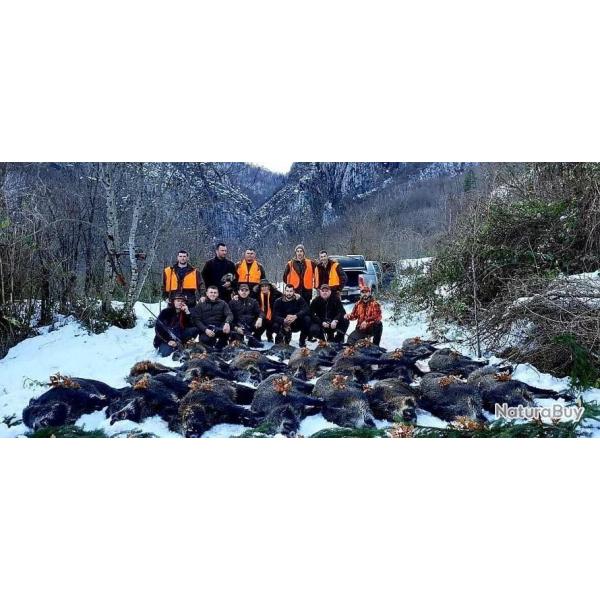 S�jour chasse du sanglier en Bosnie