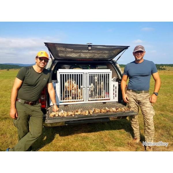 S�jour chasse de la caille en Bosnie