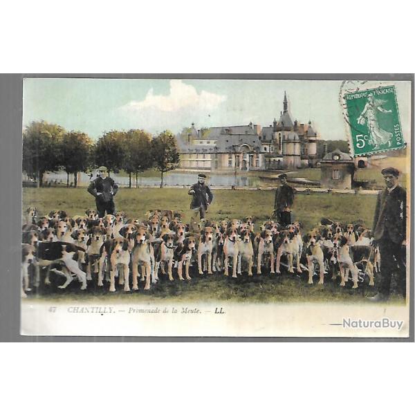 chantilly promenade de la meute , chasse � courre, �quipage, v�nerie , chateau