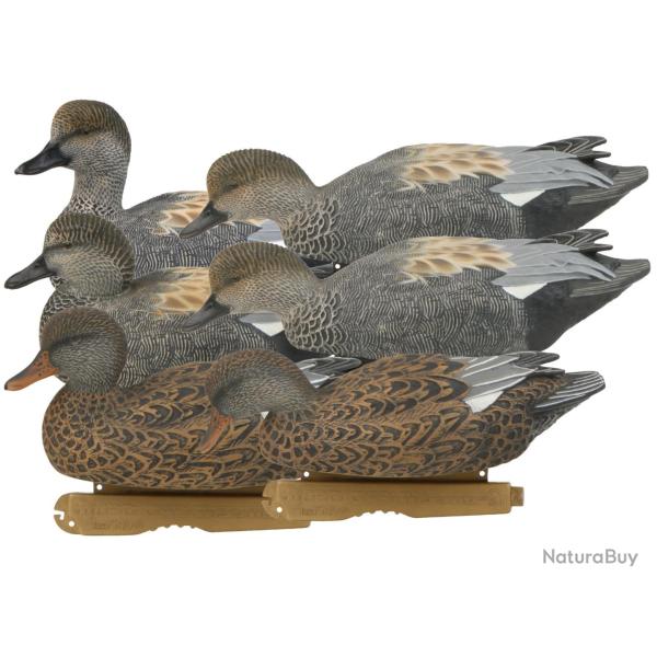 Pack 6 appelants chipeaux HD GHG