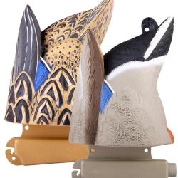 Couple de canards colverts au gagnage HD GHG