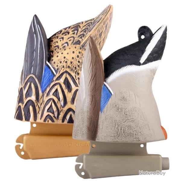 Couple de canards colverts au gagnage HD GHG