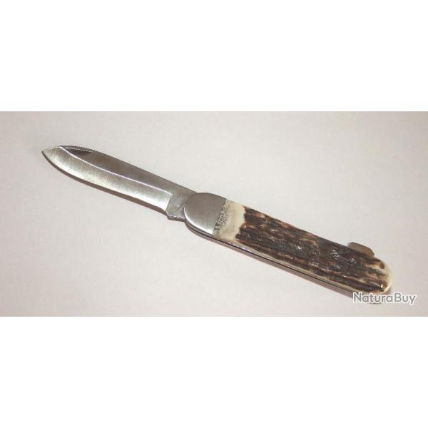 Couteau pliant , manche bois de cerf , lame 7,8cm acier inox