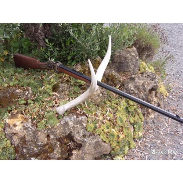 CARABINE 1874 SHARPS BUSINESS CAL. 45/70