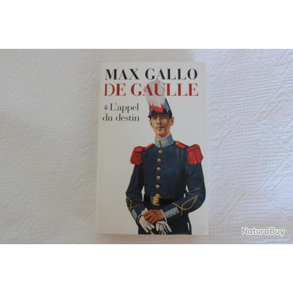 De Gaulle, l'appel du destin