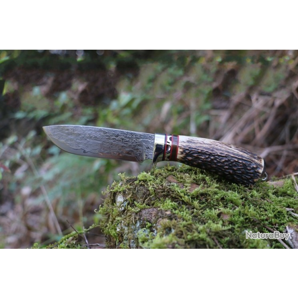 Couteau de chasse Damas acier VG10 (3)