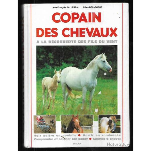 copain des chevaux � la d�couverte des fils du vent gilles delaborde et jean-fran�ois ballereau