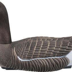 Appelant oie cendr&eacute;e droite HD flottante t&ecirc;te amovible