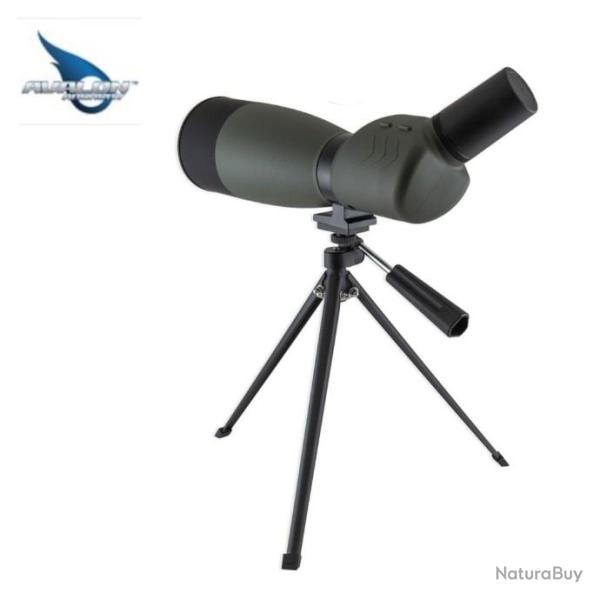 LONGUE VUE AVALON 20x60