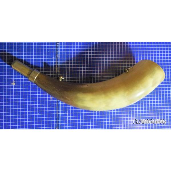 Corne  d'appel  fonctionnel