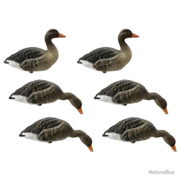 Formes d'oie cendr�e sur pattes Final Approach