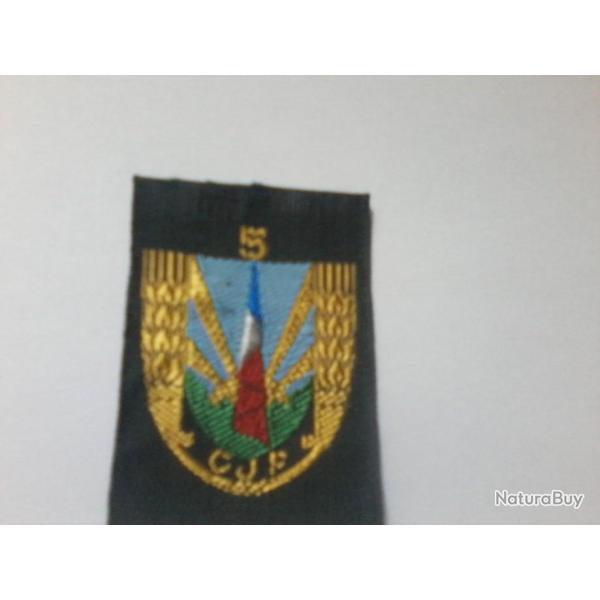 Insigne chantier de jeunesse N5