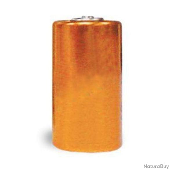 Pile alcaline PetSafe 6V