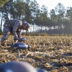 S&eacute;jour Chasse en Sologne - Palombes,Sangliers & Canards - 2 jours / 2 nuits :