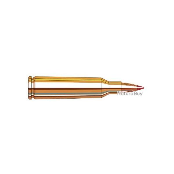 Munitions Hornady 22-250r 50gr V-Max par 20