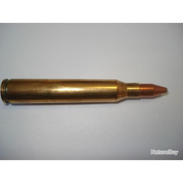 une cartouche de 6,5x65 RWS ogive KS pour collection