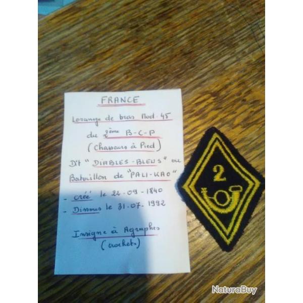 Insigne 2eme BCP Chasseurs � pied
