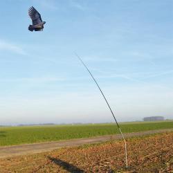 M&acirc;t t&eacute;lescopique pour cerf volant effaroucheur