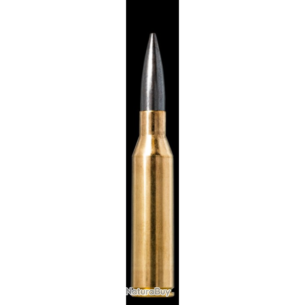 Munitions NORMA Cal.338 Norma Mag DIAMOND LINE MATCH 19.5g 300gr par 20