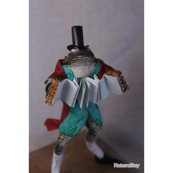 taxidermie grenouille accordon taxidermy frog curiosit oditties