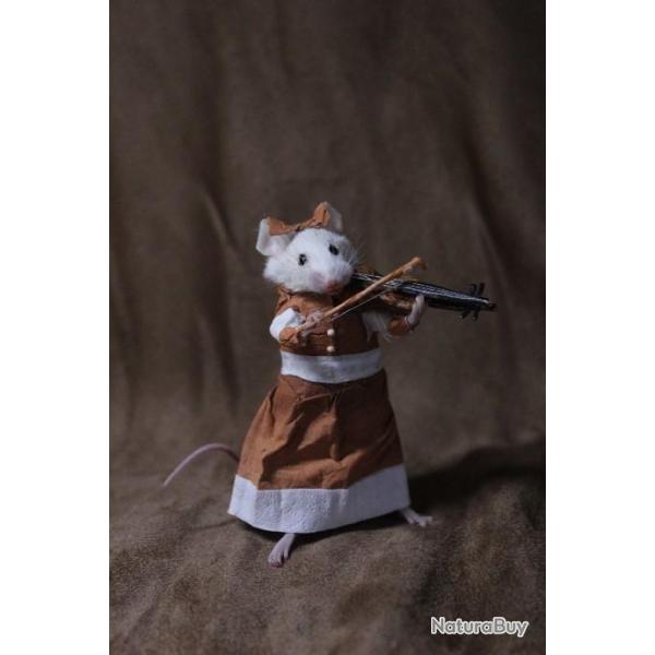 taxidermie souris musicienne violoniste taxidermy mouse rat cabinet de curiosit