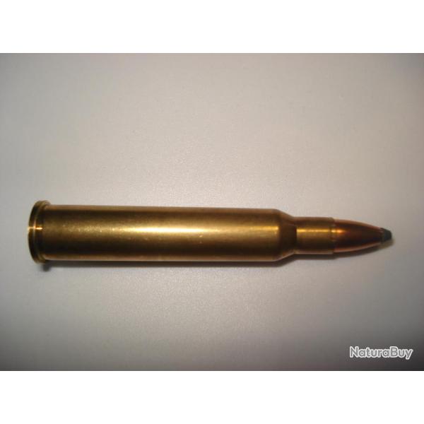 une cartouche de 5,6x50R magnum ogive dzemi blind�e marque RWS pour collection