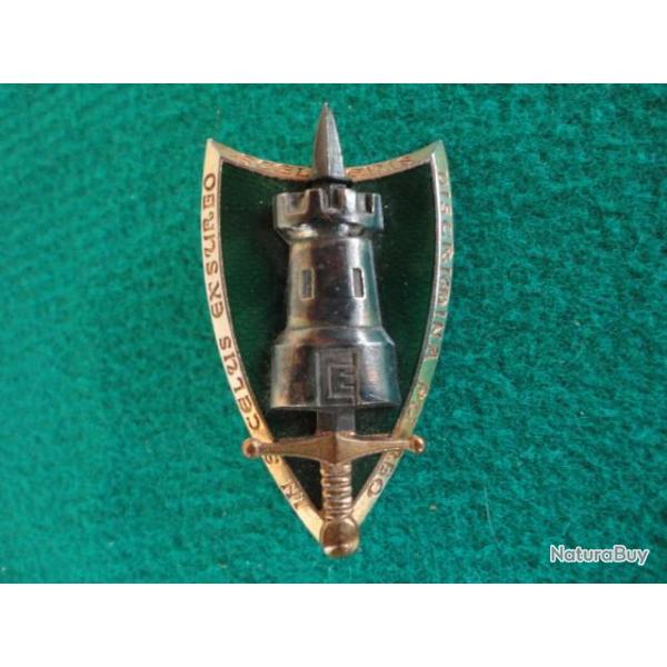 Insigne militaire �tat major de l'organisation.