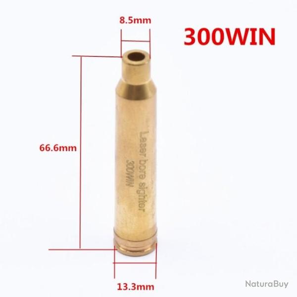 Balle Laser de R�glage Calibre 300 WINCHESTER - LIVRAISON GRATUITE !!