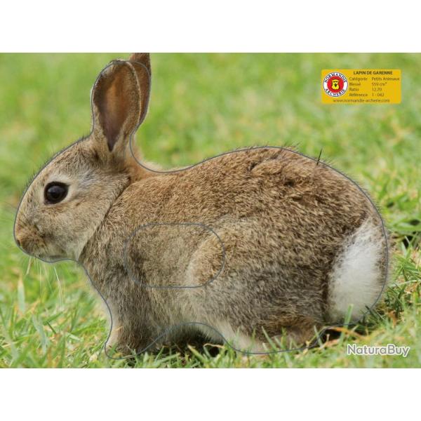 NORMANDIE ARCHERIE - LAPIN DE GARENNE