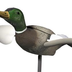 COLVERT MALE AILES TOURNANTES EN PAUSE