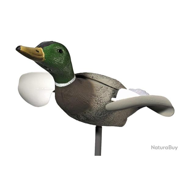 COLVERT MALE AILES TOURNANTES EN PAUSE