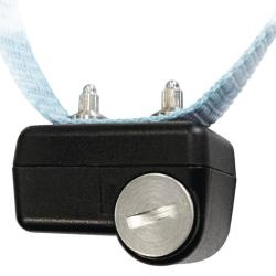 CANICALM FIRST - NUM'AXES